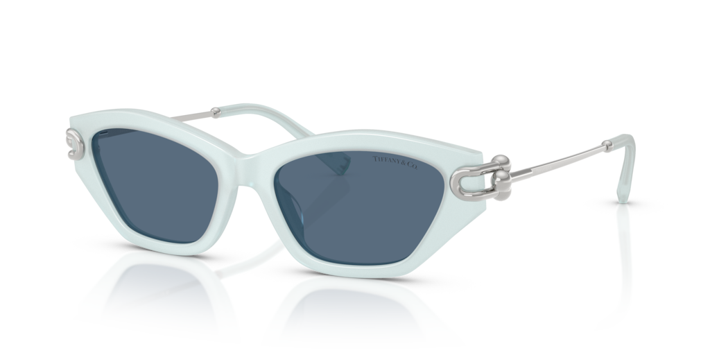Tiffany TF4231U 843680 53-17 – Optik Shop