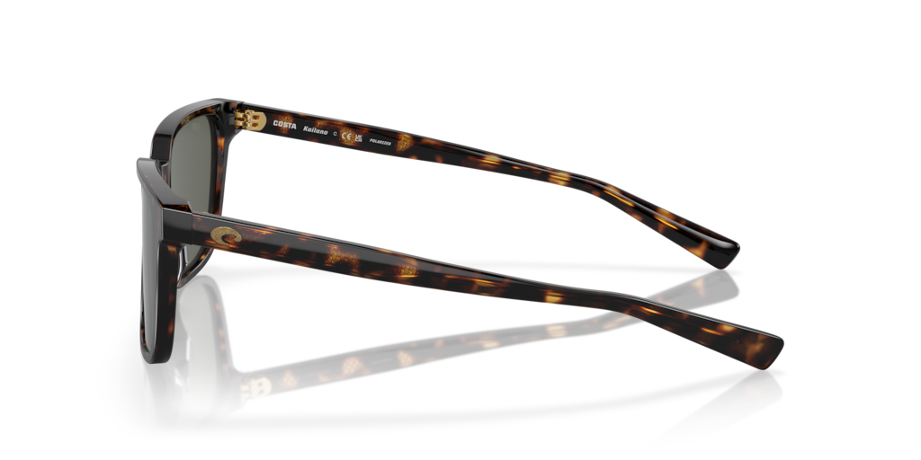 Costa Del Mar 6S2013 201303