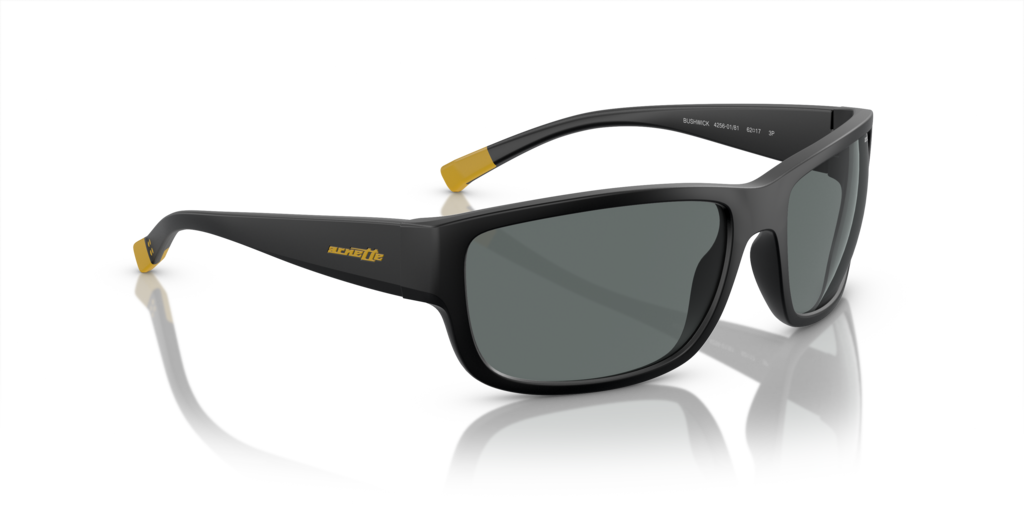 Arnette AN4256 01/81