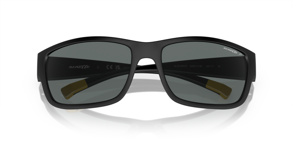 Arnette AN4256 01/81