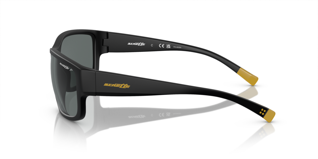 Arnette AN4256 01/81