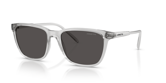 Arnette AN4291