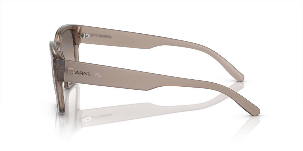 Arnette AN4325 290613