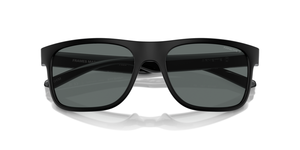 Arnette AN4341 290081