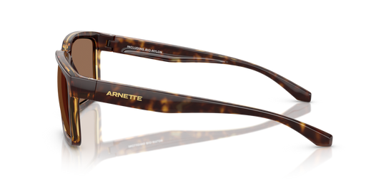 Arnette AN4346 277073