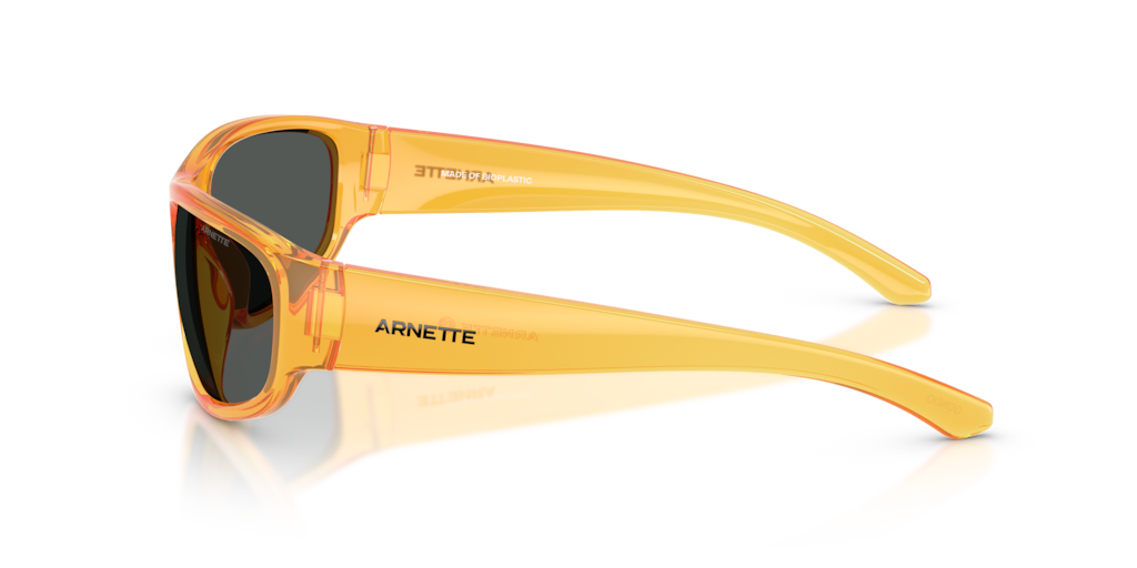 Arnette AN4361 287587