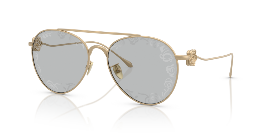 Giorgio Armani AR6167 3002AL 57 Güneş Gözlükleri