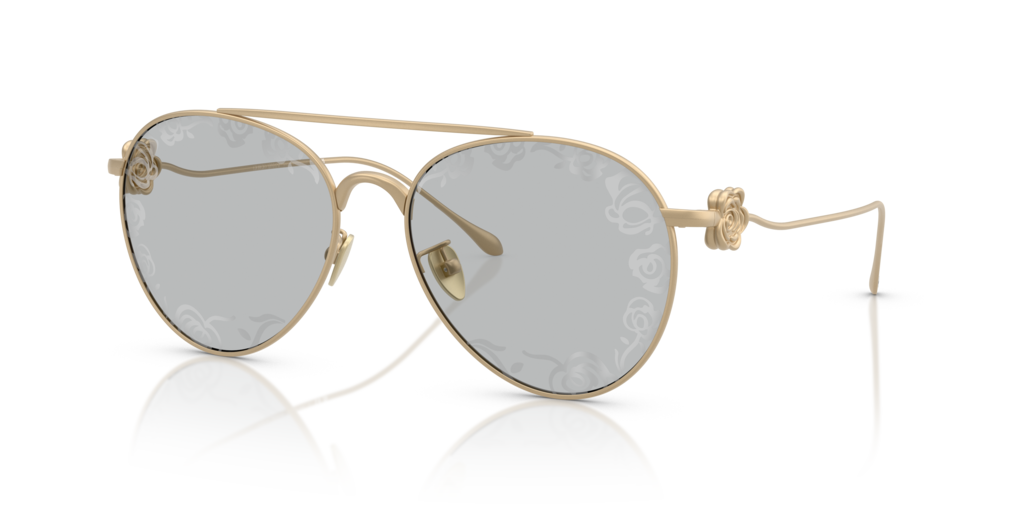 Giorgio Armani AR6167 3002AL 57 Güneş Gözlükleri