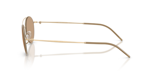 Giorgio Armani AR6169 300263