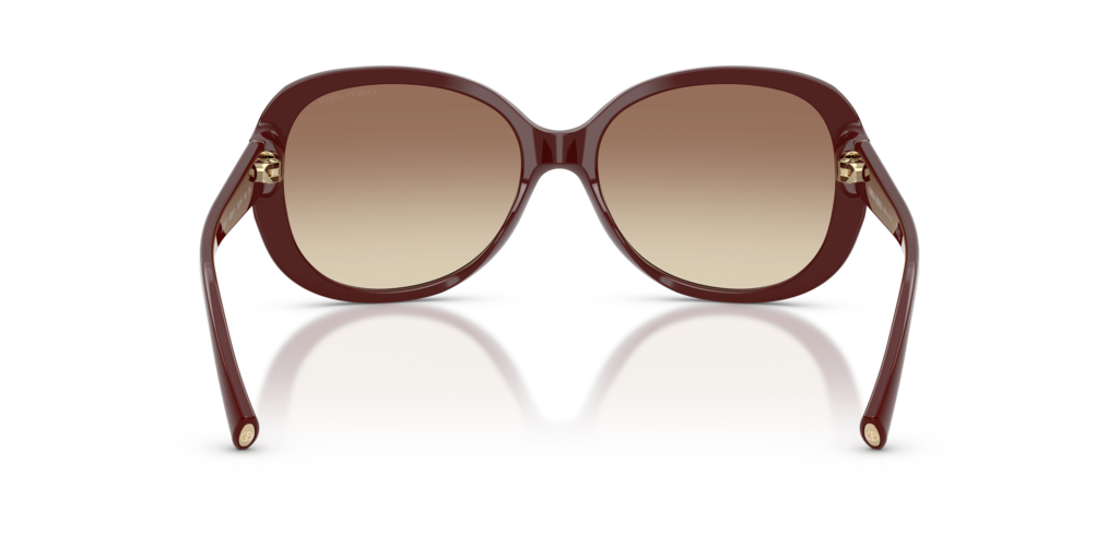 Giorgio Armani AR8047 639913