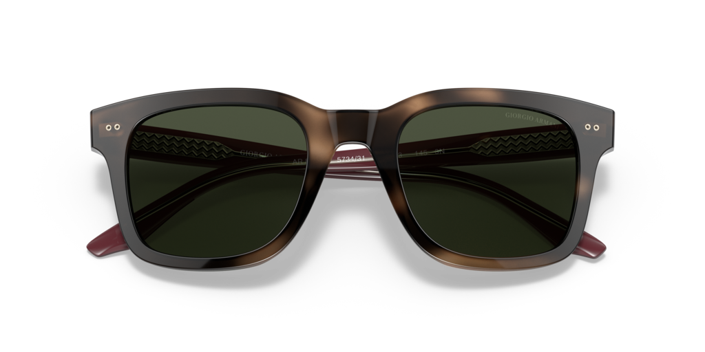 Giorgio Armani AR8138 573431