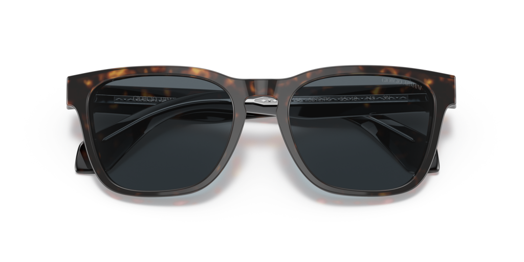 Giorgio Armani AR8155 5879R5 55 Güneş Gözlükleri