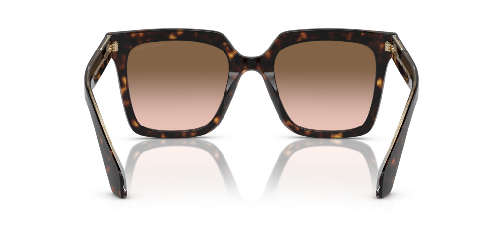 Giorgio Armani AR8156 587951