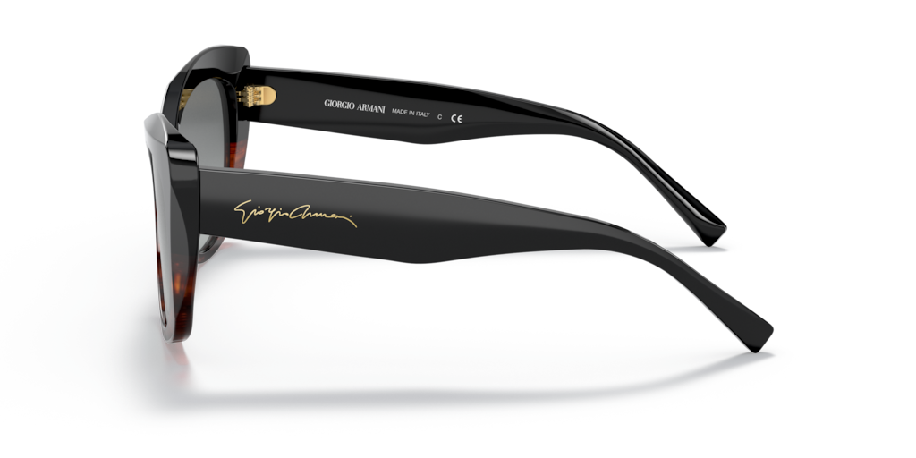 Giorgio Armani AR8161 592811 56 Güneş Gözlükleri