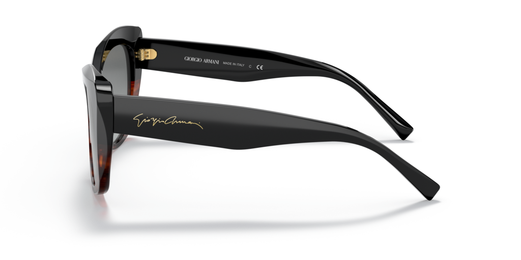 Giorgio Armani AR8161 592811 56 Güneş Gözlükleri