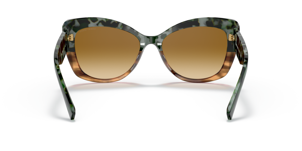Giorgio Armani AR8161 59302L