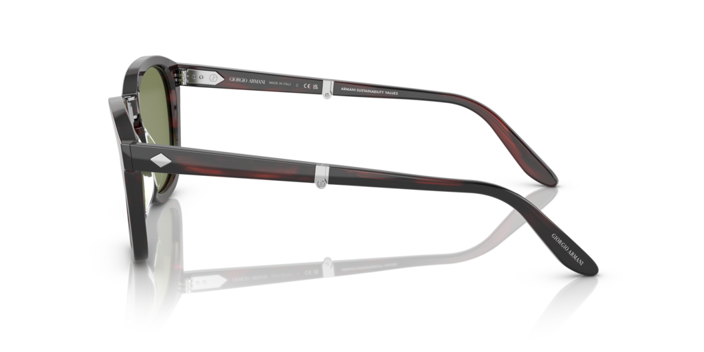 Giorgio Armani AR8170 59634E 51 Güneş Gözlükleri