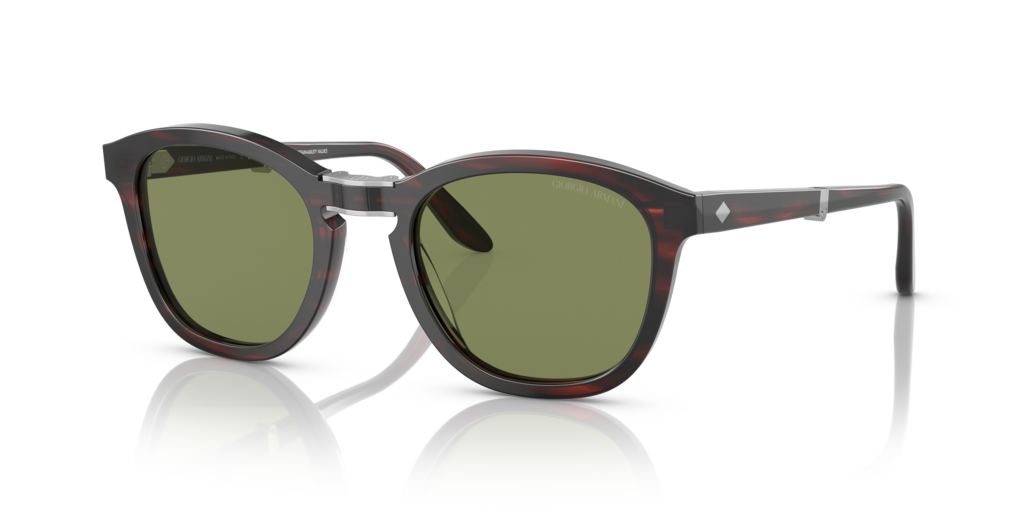 Giorgio Armani AR8170 59634E 51 Güneş Gözlükleri