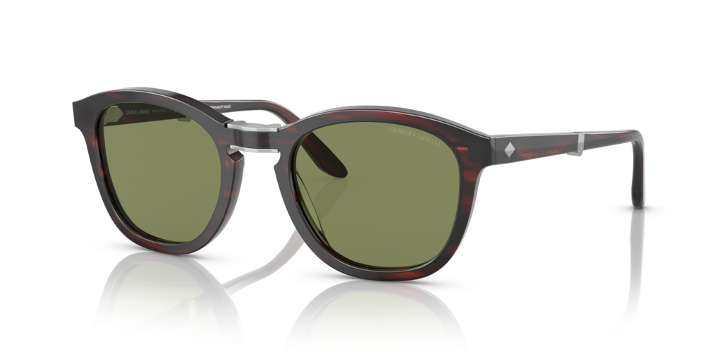 Giorgio Armani AR8170 59634E 51 Güneş Gözlükleri