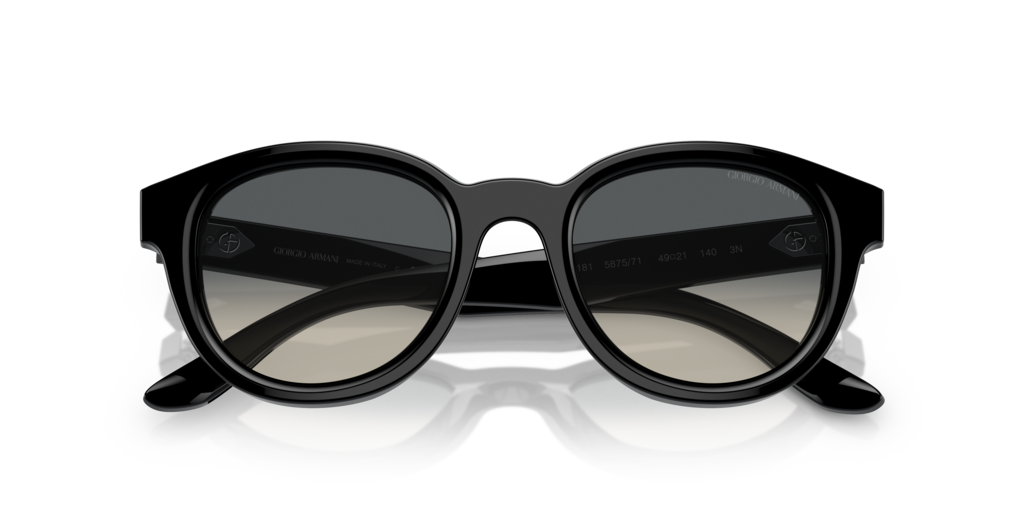 Giorgio Armani AR8181 587571 49 Güneş Gözlükleri