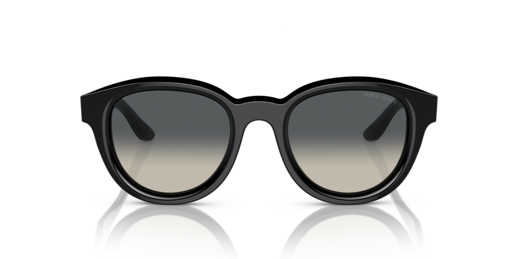 Giorgio Armani AR8181 587571 49 Güneş Gözlükleri