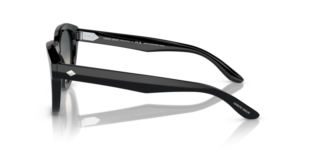 Giorgio Armani AR8181 587571 49 Güneş Gözlükleri