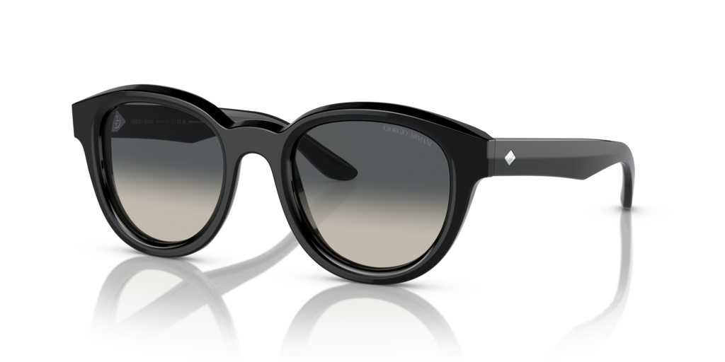 Giorgio Armani AR8181 587571 49 Güneş Gözlükleri