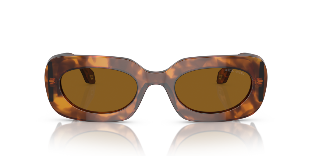 Giorgio Armani AR8182 598833 52 Güneş Gözlükleri