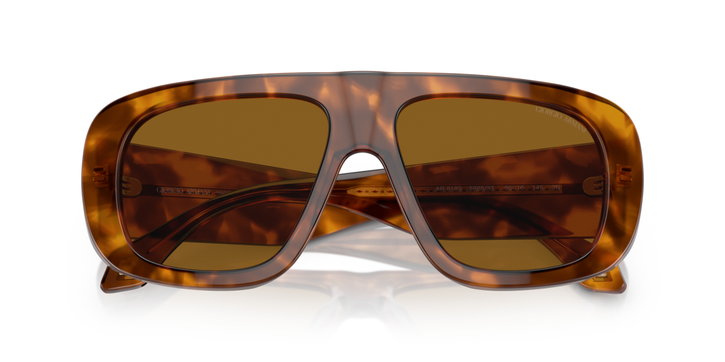 Giorgio Armani AR8183 598833 56 Güneş Gözlükleri