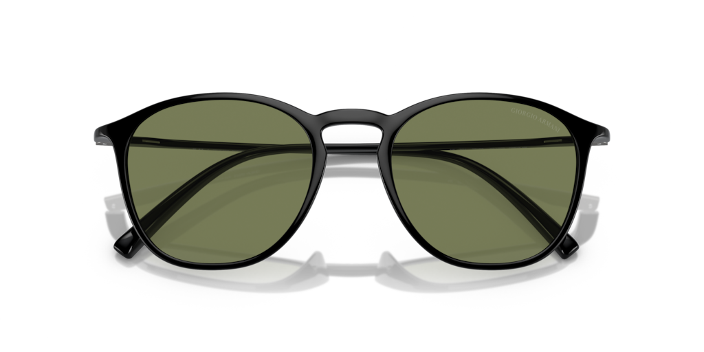 Giorgio Armani AR8186U 50012A 52 Güneş Gözlükleri