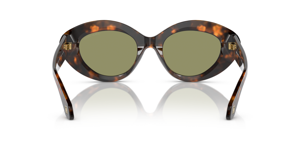 Giorgio Armani AR8188 599314 50 Güneş Gözlükleri