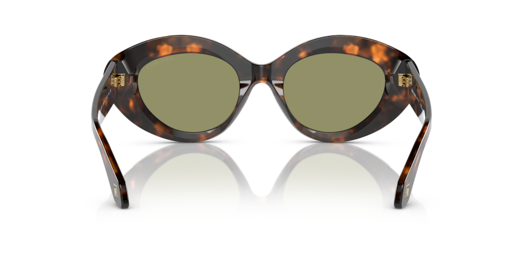 Giorgio Armani AR8188 599314 50 Güneş Gözlükleri