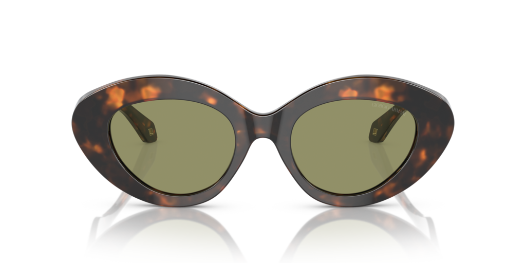 Giorgio Armani AR8188 599314 50 Güneş Gözlükleri