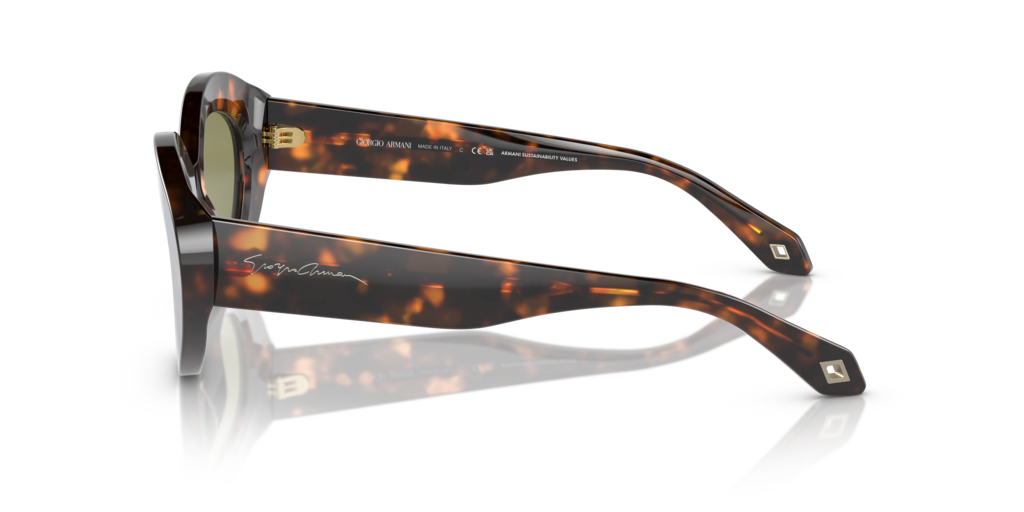 Giorgio Armani AR8188 599314 50 Güneş Gözlükleri