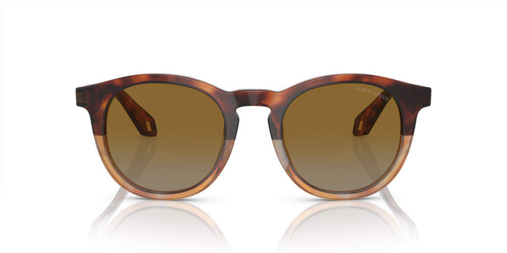 Giorgio Armani AR8192 6034B2