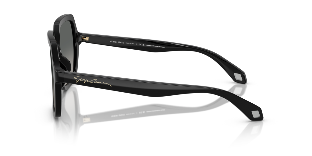 Giorgio Armani AR8193U 500119 55 Güneş Gözlükleri