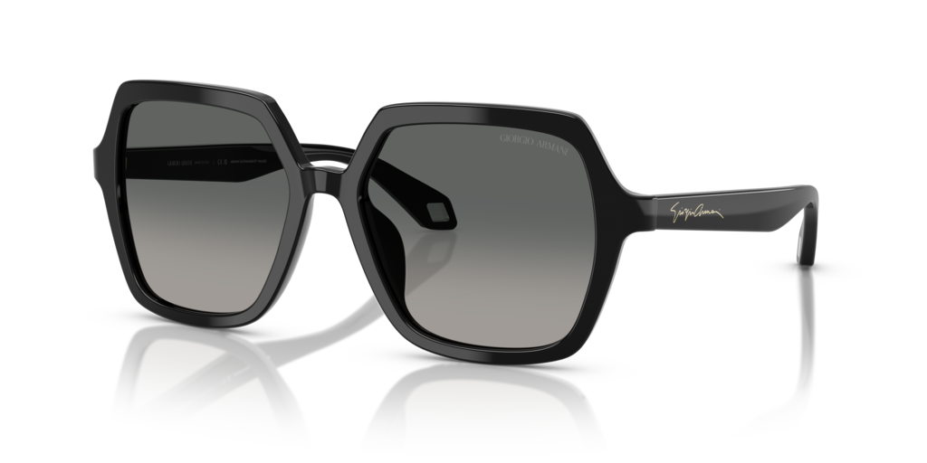 Giorgio Armani AR8193U 500119 55 Güneş Gözlükleri