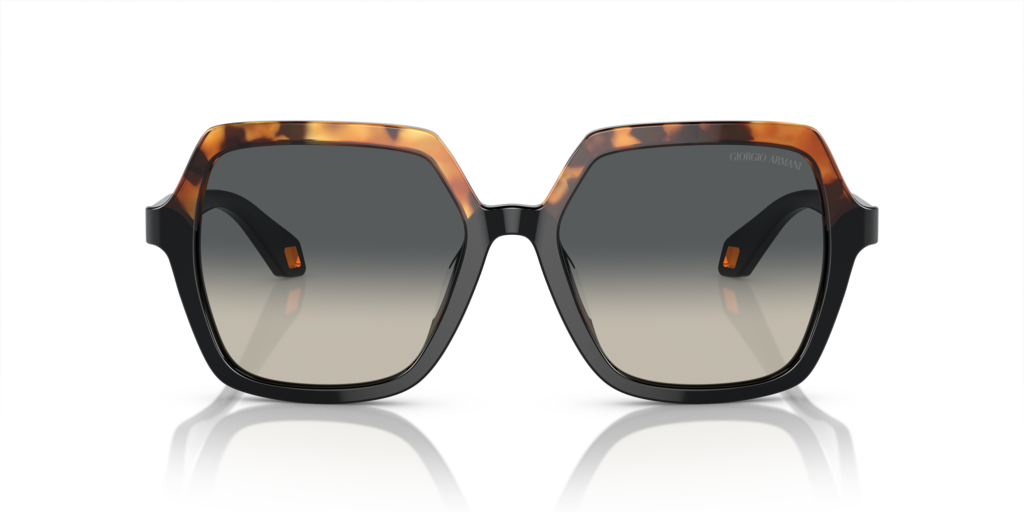 Giorgio Armani AR8193U 587519 55 Güneş Gözlükleri