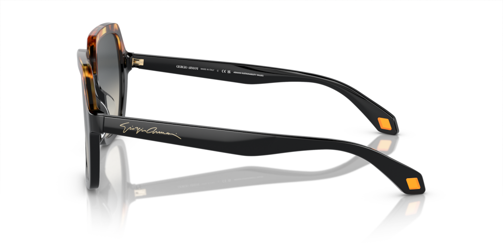 Giorgio Armani AR8193U 587519 55 Güneş Gözlükleri