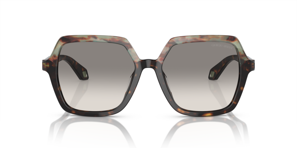 Giorgio Armani AR8193U 587932