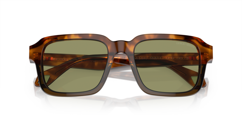 Giorgio Armani AR8194U 598814 53 Güneş Gözlükleri