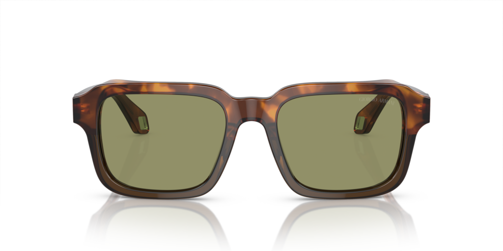 Giorgio Armani AR8194U 598814 53 Güneş Gözlükleri