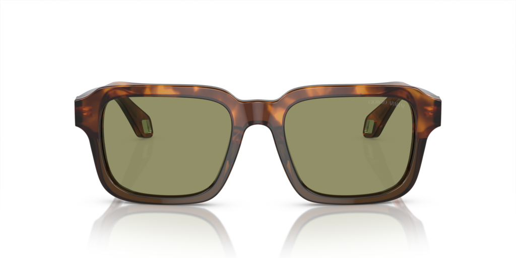 Giorgio Armani AR8194U 598814 53 Güneş Gözlükleri