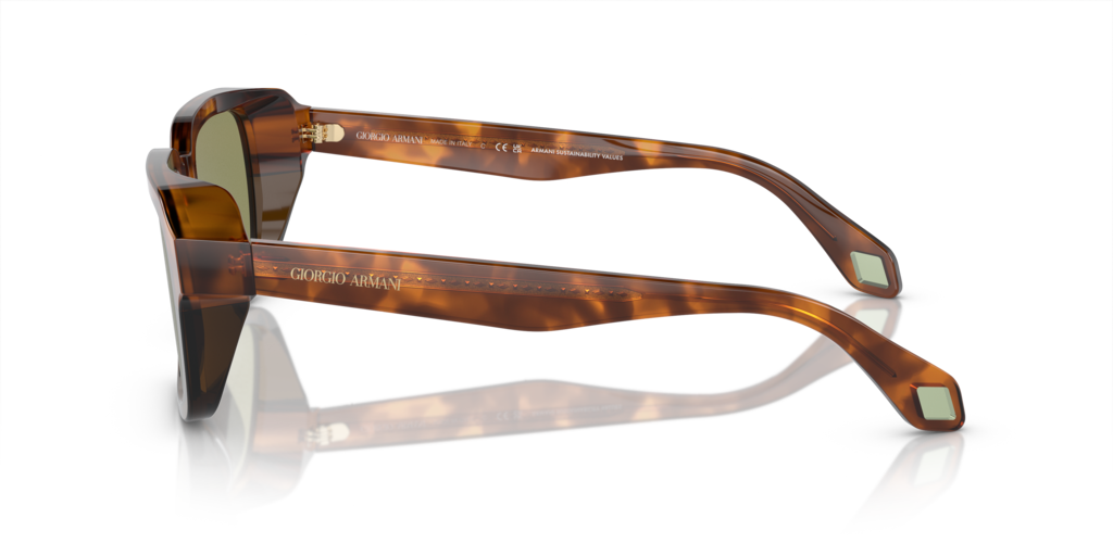 Giorgio Armani AR8194U 598814 53 Güneş Gözlükleri