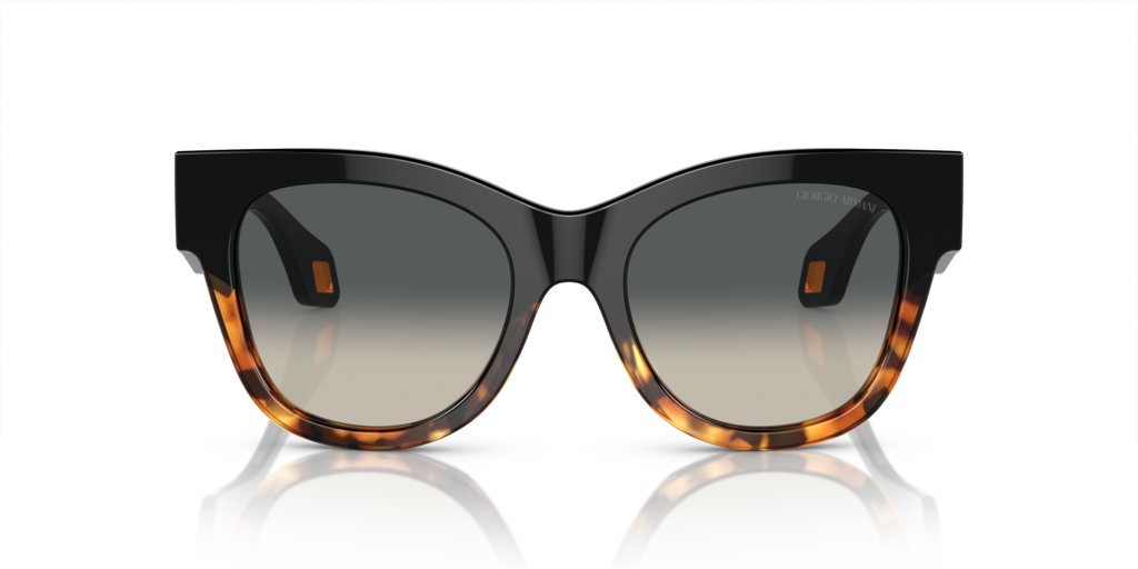 Giorgio Armani AR8195U 587519 51 Güneş Gözlükleri