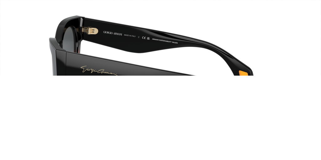 Giorgio Armani AR8195U 587519 51 Güneş Gözlükleri