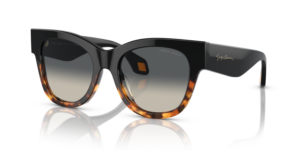 Giorgio Armani AR8195U 587519 51 Güneş Gözlükleri