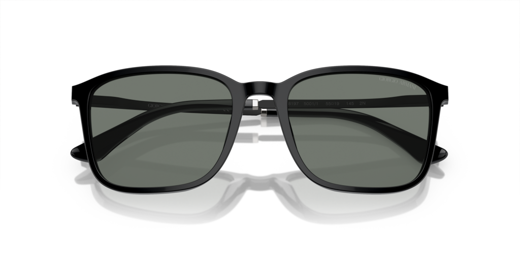 Giorgio Armani AR8197 5001/1 55 Güneş Gözlükleri