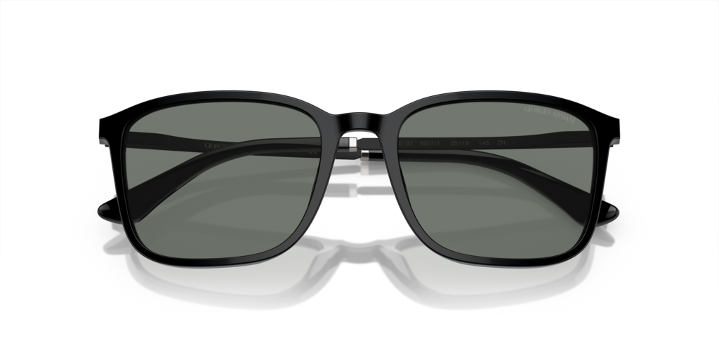 Giorgio Armani AR8197 5001/1 55 Güneş Gözlükleri