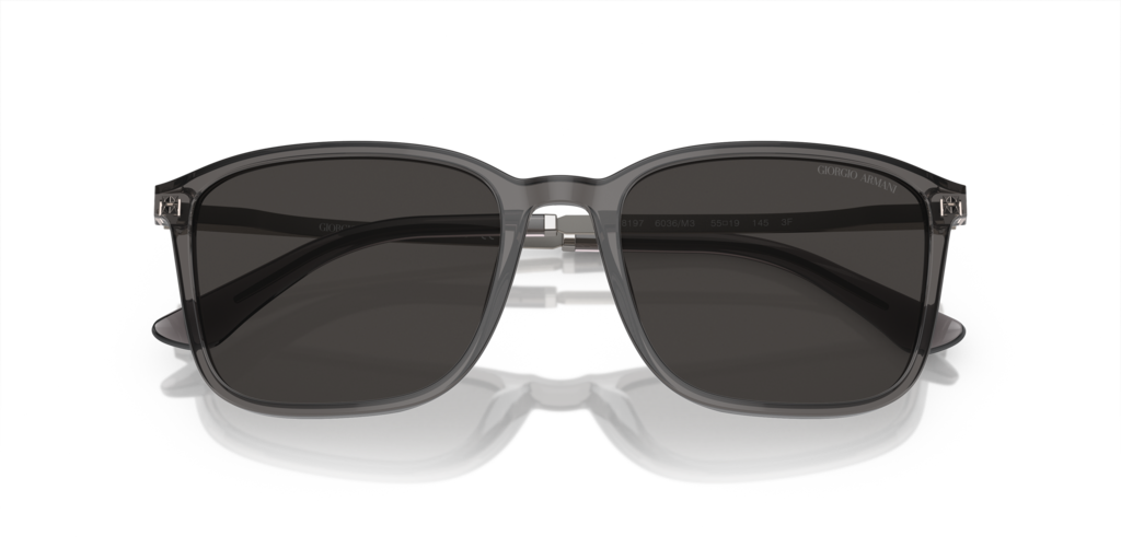 Giorgio Armani AR8197 6036M3